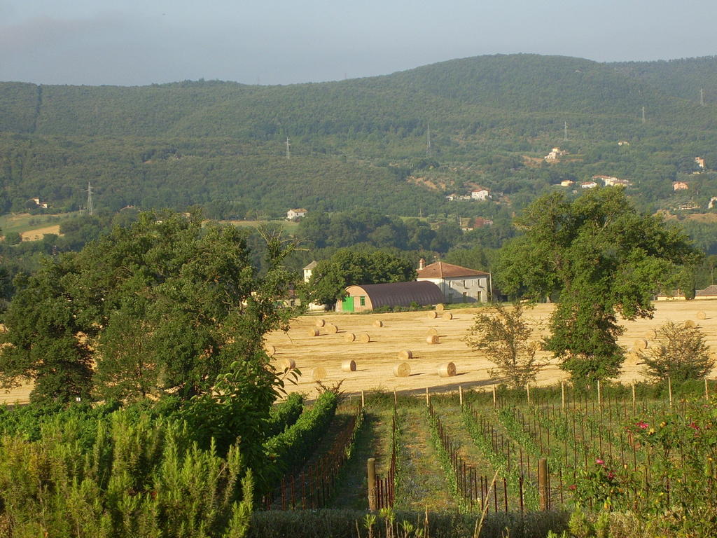 Agriturismo Regno Verde Нарни Екстериор снимка