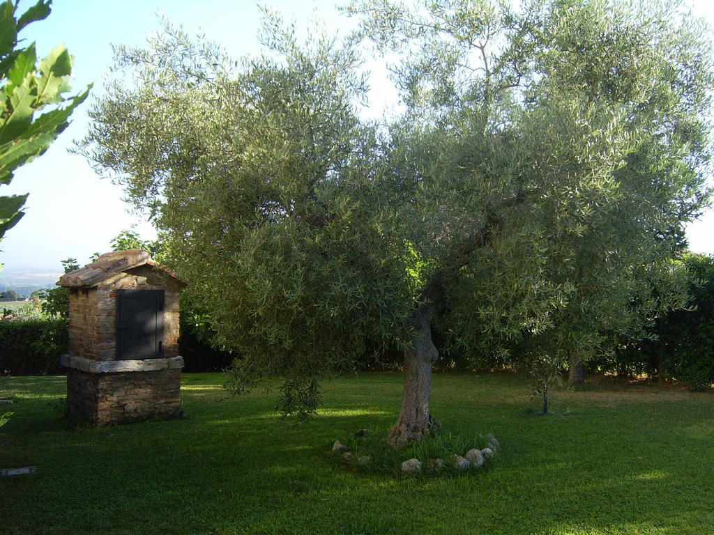 Agriturismo Regno Verde Нарни Екстериор снимка