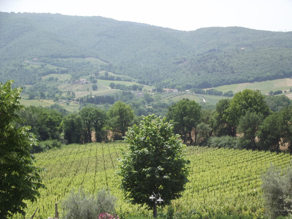 Agriturismo Regno Verde Нарни Екстериор снимка